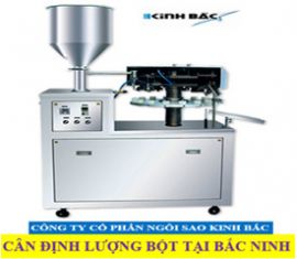 Cân định lượng bột tại Bắc Ninh
