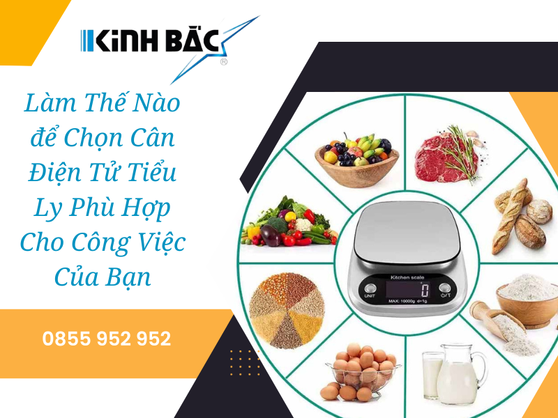 Cách Chọn Cân Điện Tử Tiểu Ly Phù Hợp Cho Công Việc Của Bạn