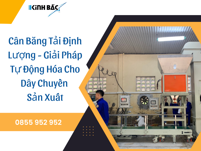 Cân Băng Tải Định Lượng - Giải Pháp Tự Động Hóa Cho Dây Chuyền Sản Xuất