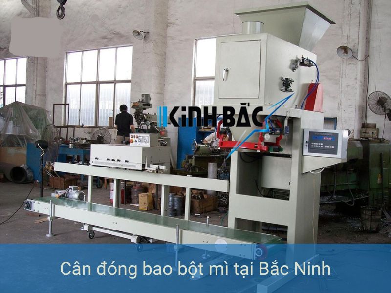Đơn vị lắp đặt cân đóng bao bột mì tại Bắc Ninh