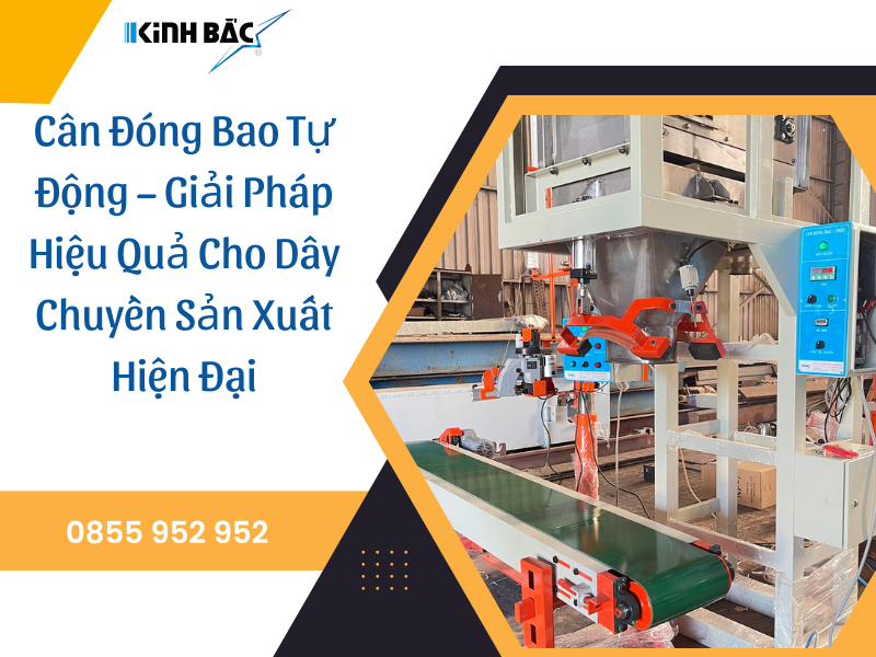 Cân Đóng Bao Tự Động – Giải Pháp Hiệu Quả Cho Dây Chuyền Sản Xuất 