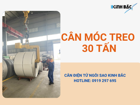 Cân treo điện tử 30 tấn