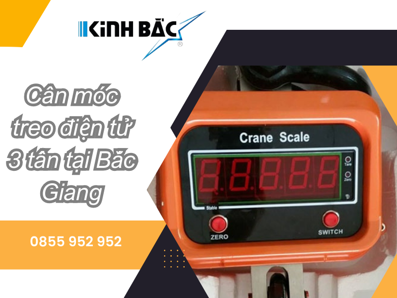 Cấu tạo cân móc treo điện tử 3 tấn/ lắp đặt cân tại Bắc Giang
