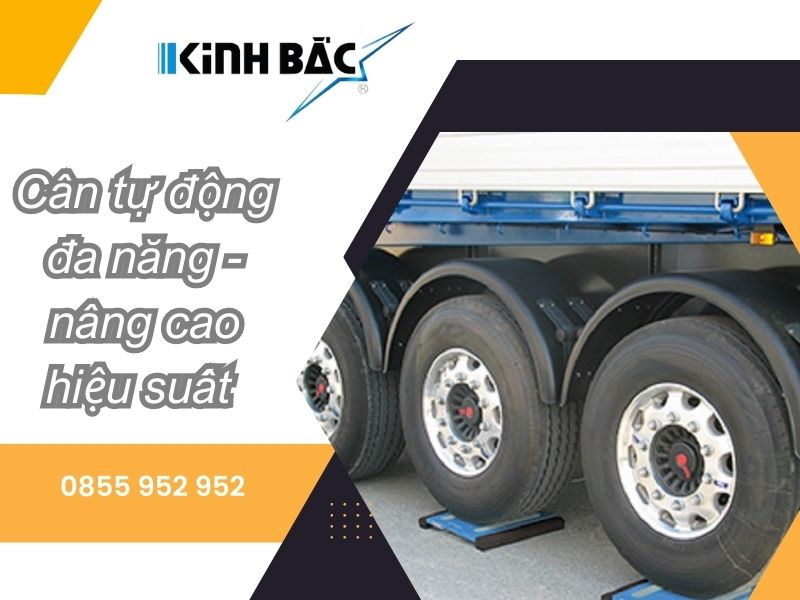 Cân tự động đa năng - Tối Ưu Hóa Hiệu Quả Vận Chuyển