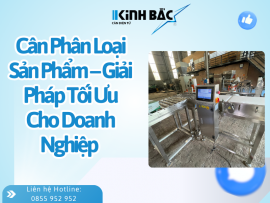 Cân Phân Loại Sản Phẩm – Giải Pháp Tối Ưu Cho Doanh Nghiệp 