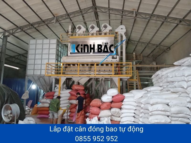 Lắp đặt cân đóng bao điện tử uy tín