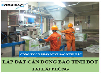 Lắp đặt cân đóng bao tinh bột tại Hải Phòng