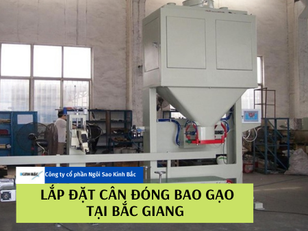 Lắp cân đóng bao gạo tại Bắc Giang