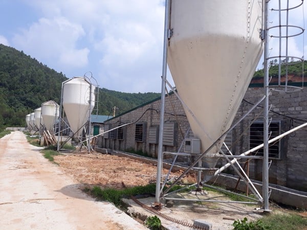 Lắp đặt cân Silo 5 tấn - Cân Silo chứa nguyên liệu tại Bắc Ninh