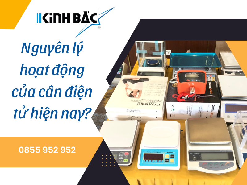 Nguyên lý hoạt động của cân điện tử là gì?
