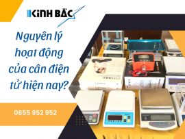Nguyên lý hoạt động của cân điện tử là gì?