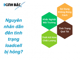 Hỏng Load Cell cân điện tử là gì? Nguyên Nhân và giải pháp khắc phục